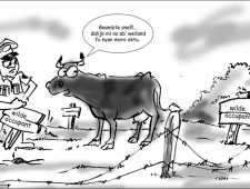 dinsdag 19 augustus 2014