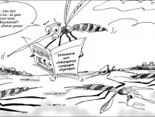 vrijdag 21 november 2014