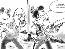 zaterdag 11 oktober 2014