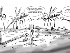 zaterdag 25 oktober 2014